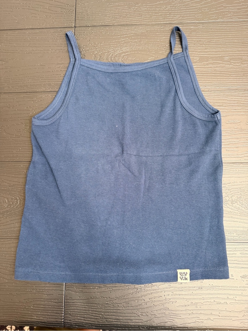 Lucy & Yak Blue Cropped Tank Top